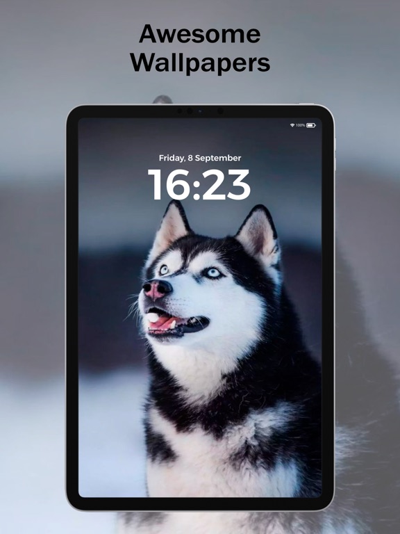 Screenshot 8