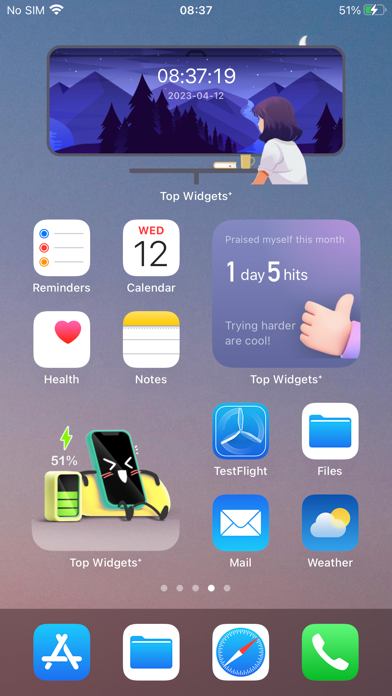 Screenshot 3