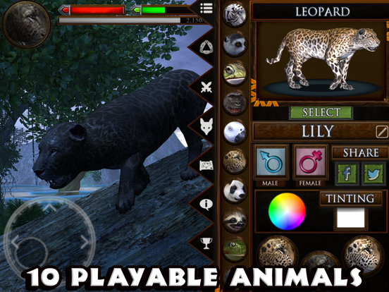 Screenshot 8