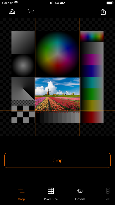 Screenshot 7