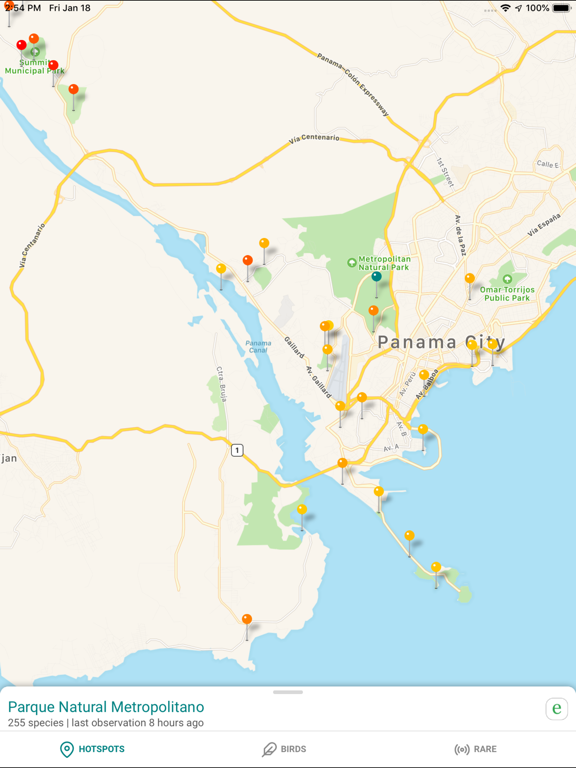 Screenshot 8