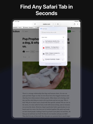 Screenshot 5