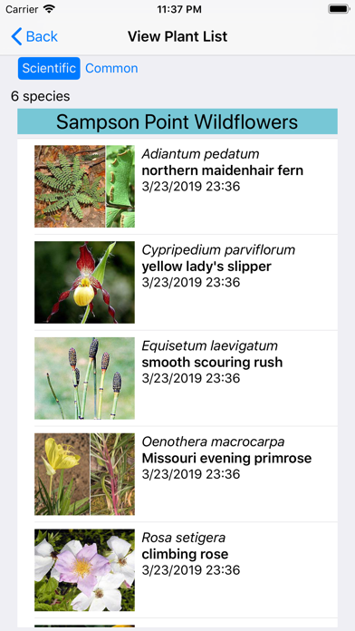 Screenshot 8