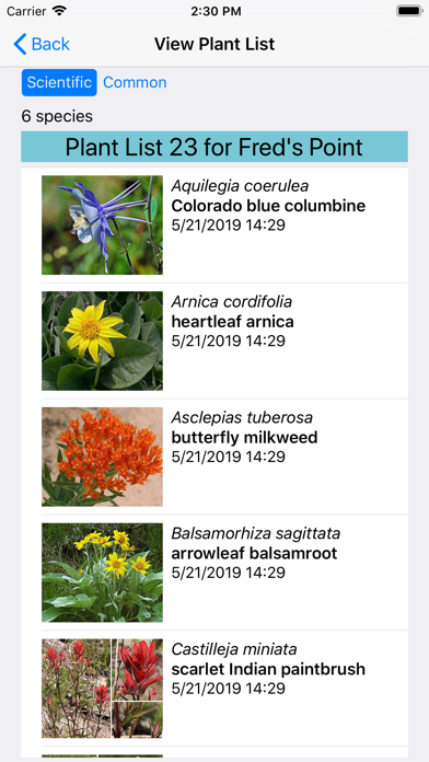 Screenshot 8