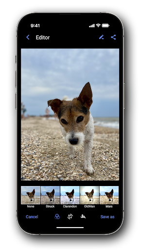 Screenshot 8